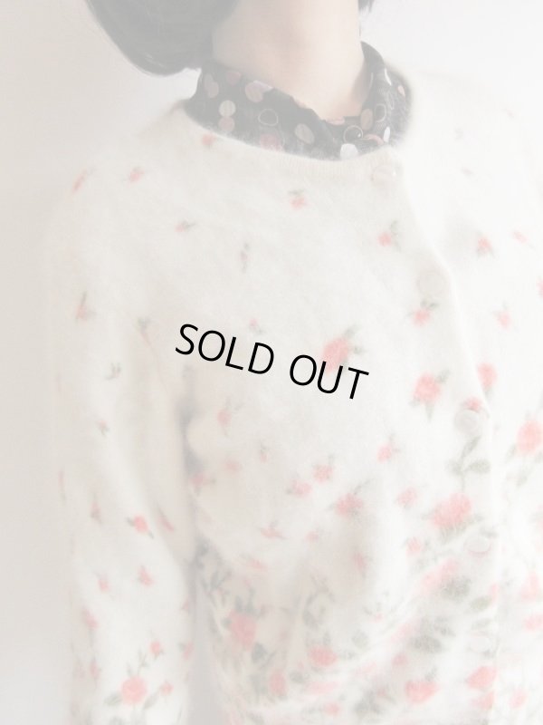 画像5: アンゴラの優しさに包まれて