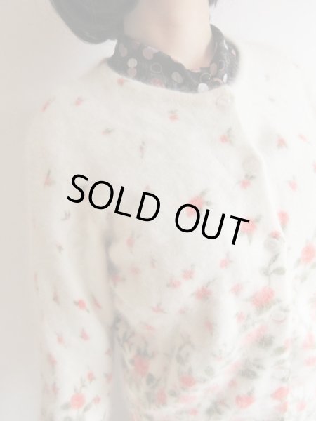 画像5: アンゴラの優しさに包まれて (5)