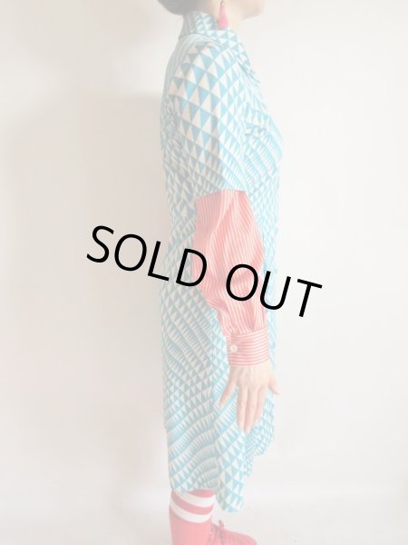 画像8: 目が覚めるようなバイカラー (8)