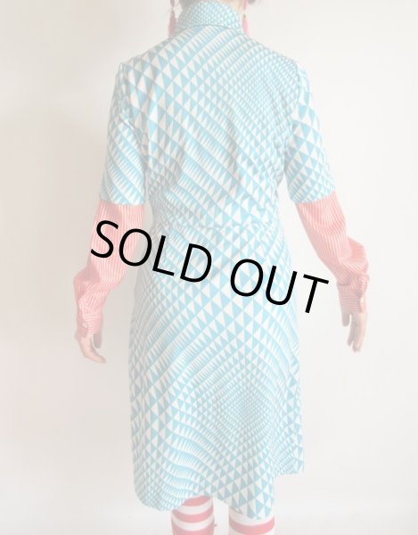 画像9: 目が覚めるようなバイカラー (9)