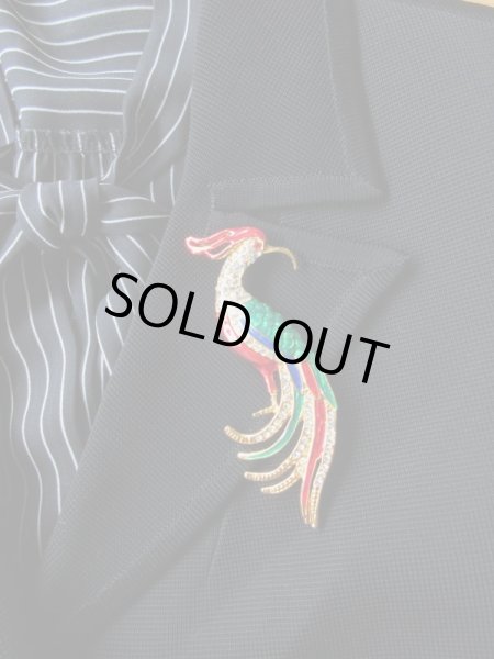 画像5: 極彩色の鳥ブローチ (5)