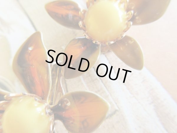 画像4: USA*70’s vintageエナメルイヤリング (4)