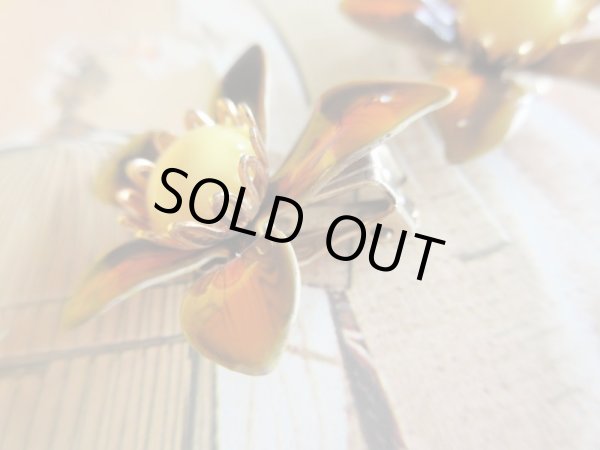 画像5: USA*70’s vintageエナメルイヤリング (5)